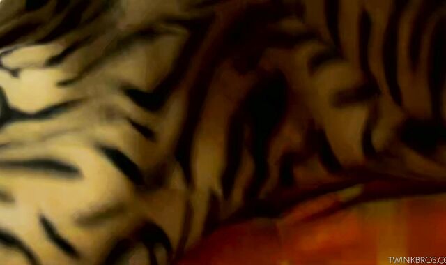 Furry Lovers Frantic Fucking