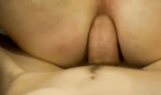 Furry Lovers Frantic Fucking