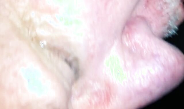 Harley's Blowjob Adventure with Daddy