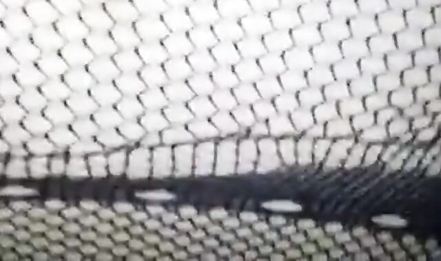 Bareback Breeding of a Bottom Bear CD by a Top Bear