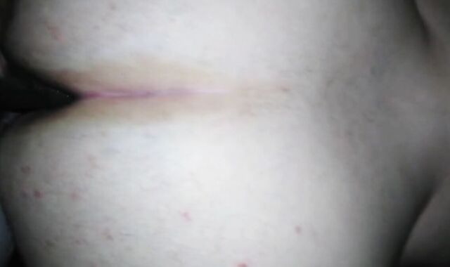 Fat Bear Takes Bareback BBC