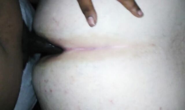 Fat Bear Takes Bareback BBC