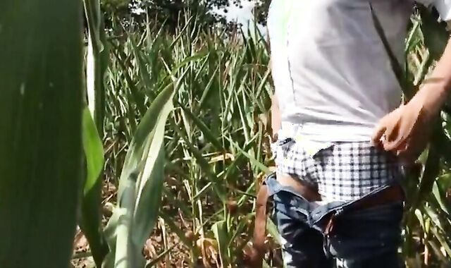 Summer Sun, Outdoor Fun: Wank & Piss