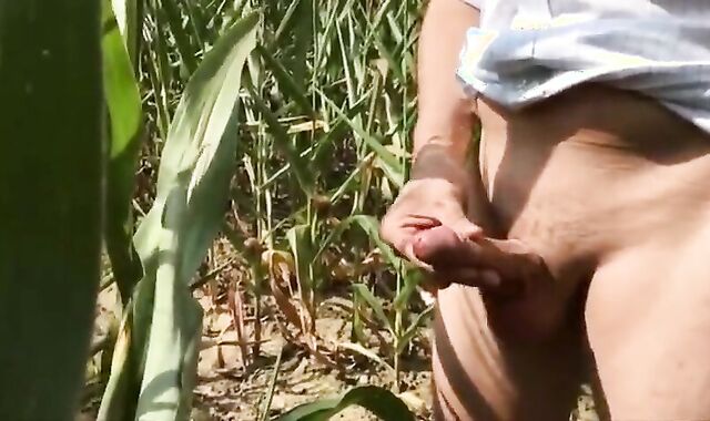 Summer Sun, Outdoor Fun: Wank & Piss