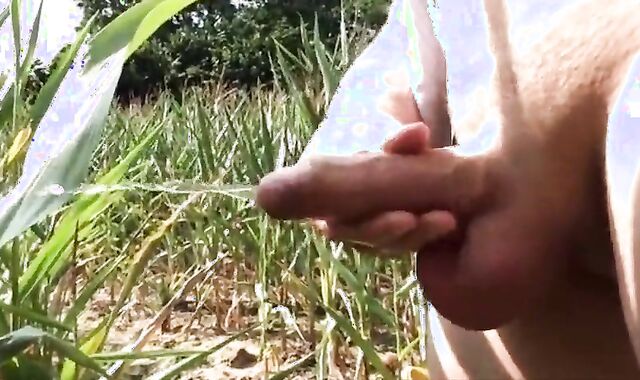 Summer Sun, Outdoor Fun: Wank & Piss