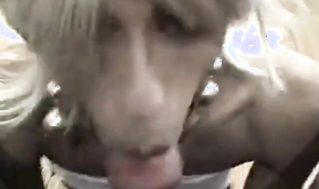 Sissy Dirty Talk and Big Cock Blowjob