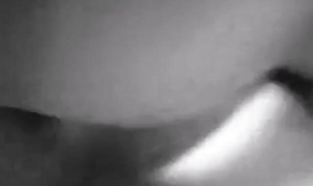 Daddy's Bareback Blowjob with Asian Bear