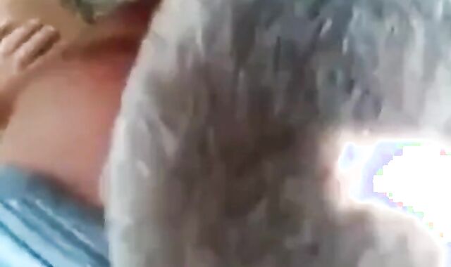 Mature Gay Bear Blowjob in the Woods