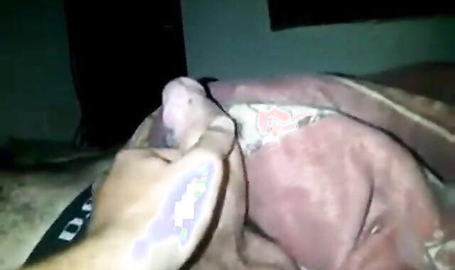 Big-Cock Twink Touches Buddy's Cock in Amateur Video