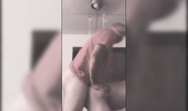 Bear and the Security Guard