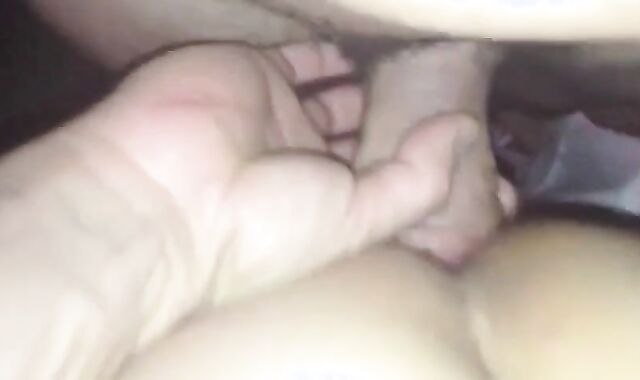 Bear and the Security Guard