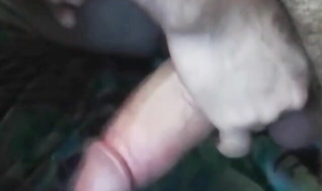 Old-Young Kiss and Wank 2