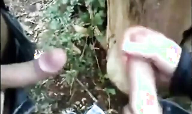 Outdoor Handjob for a Big Cock