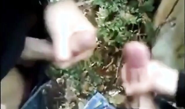Outdoor Handjob for a Big Cock