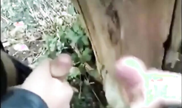 Outdoor Handjob for a Big Cock