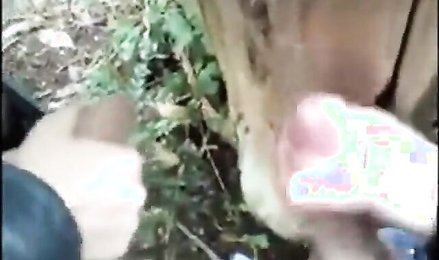 Outdoor Handjob for a Big Cock
