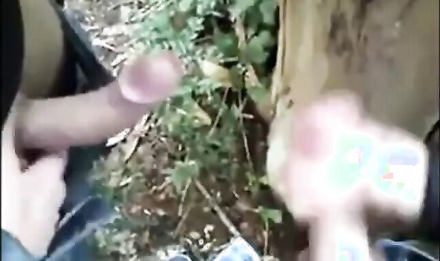Outdoor Handjob for a Big Cock