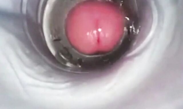 Amateur Big Cock Handjob Masturbation