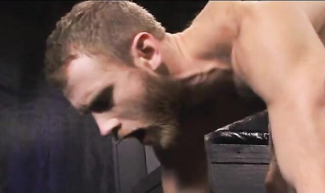 gang boink A Un Rubio Barbudo Muy Tragón