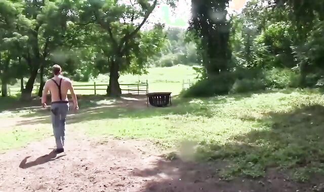 bare penetrate Bar deep Woods