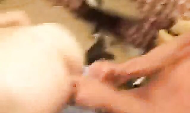 Billy group Barebacked, Gfi