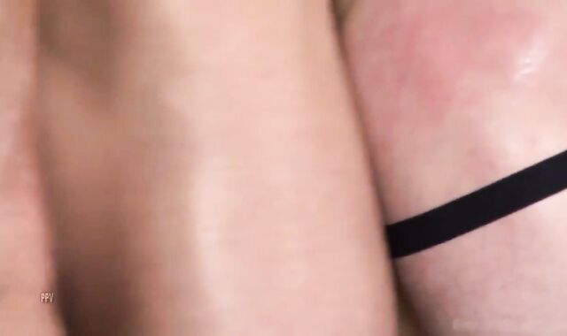 Fighting During This group pulverize The Duck