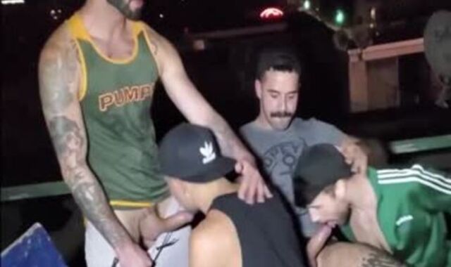 tasty Rooftop group Breeding