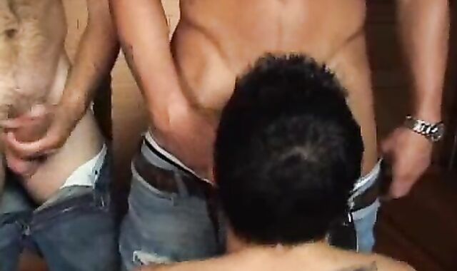 Fraternity group lot-romp 2