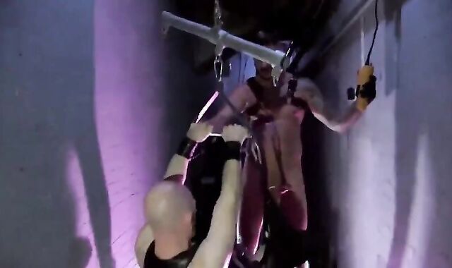 DW - amoral Playrooms UK Edition