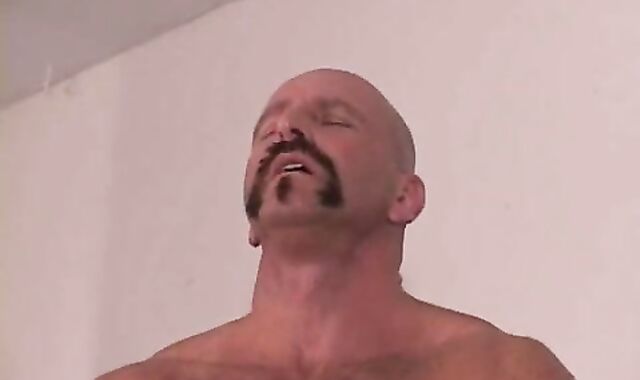 The group Goes For It