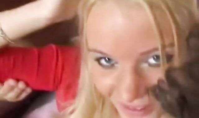 Dutch group-pummel-festival