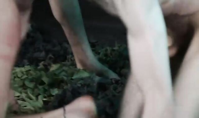 Frolic fucktoy boyz - What teenies Are Made For