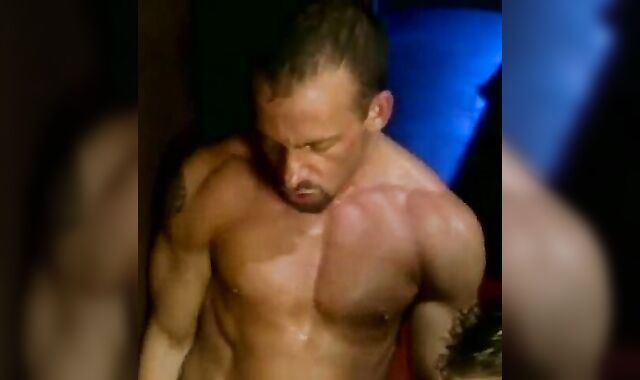 Tom Katt - Attach 2 Fasten