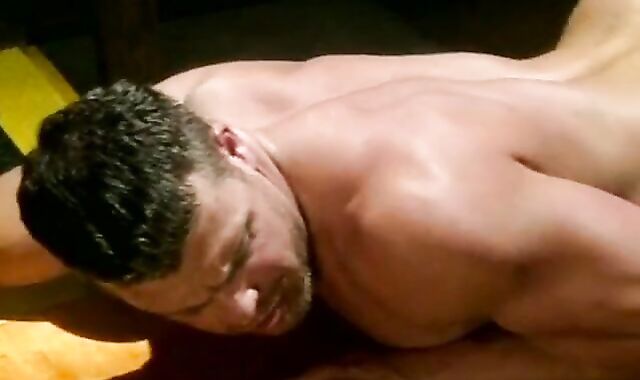 Tom Katt - Attach 2 Fasten