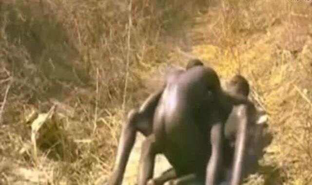 raw Party: Tribal Style