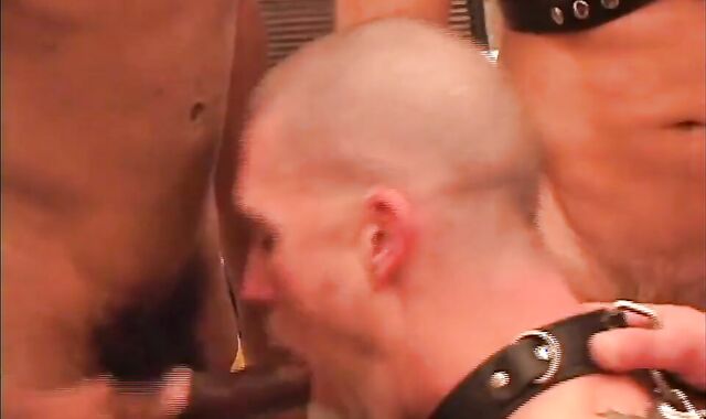 AJ Rider villein stud pile gang-fuck