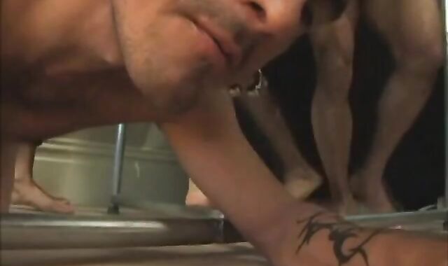 White man Is A Shag-crevice