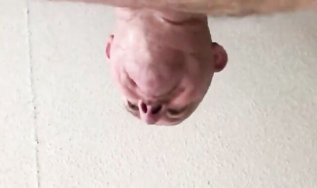 Fat Daddy Bear Barebacks Younger Bear Cub