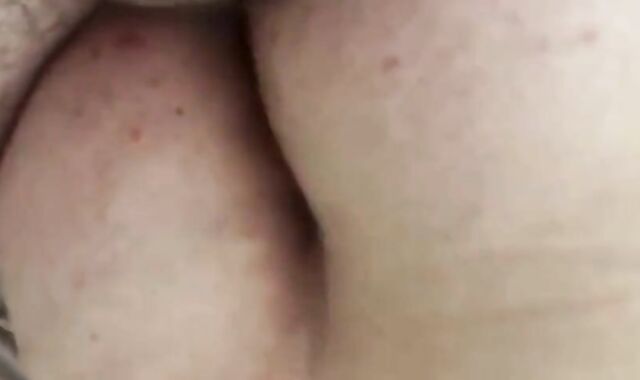 Fat Daddy Bear Barebacks Younger Bear Cub