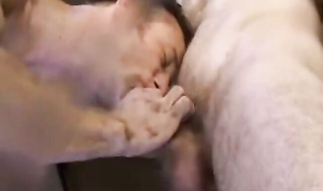 GPB / plenty of-ravaged At A Van Stop