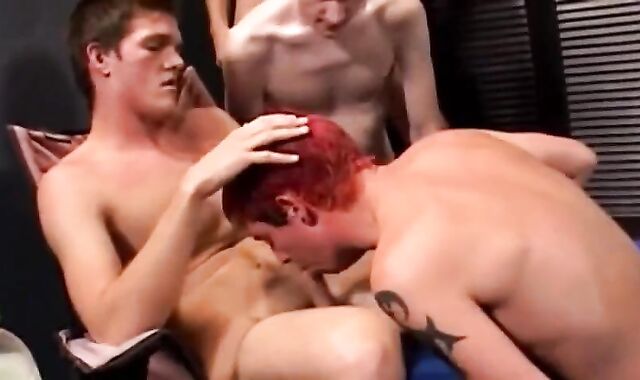 Dicksucking bunch-pulverize-jamboree