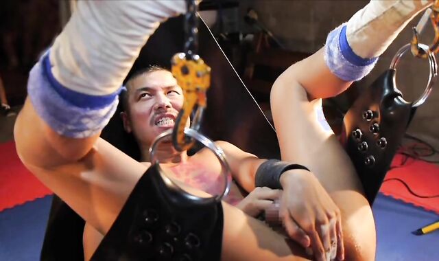 Japanese Teddy 77 plenty of-hump