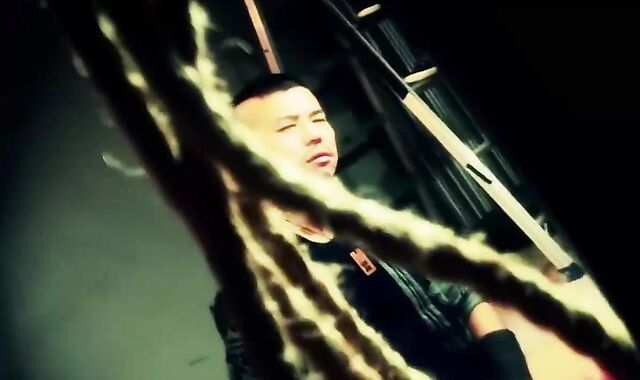 Japanese Teddy 77 plenty of-hump