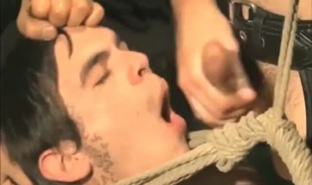 jizm intercourse mayo Facial cumshot gulp sleazy Compilation #23 By VE1988