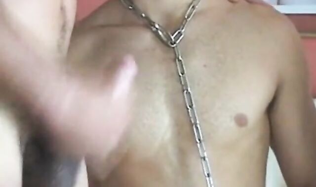 3-way With Dog collar And Chain Included