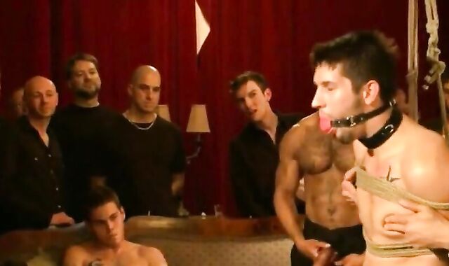 American young lad blowjob video