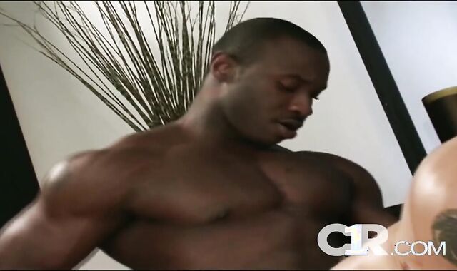 dark-hued Balled 5: Starfucker