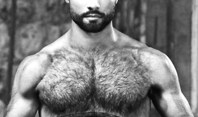 GO-DADDY-GO! Poppers Trainer