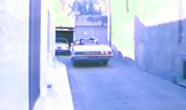 palatable ass Licking Soiree