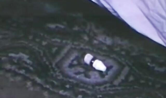 palatable ass Licking Soiree